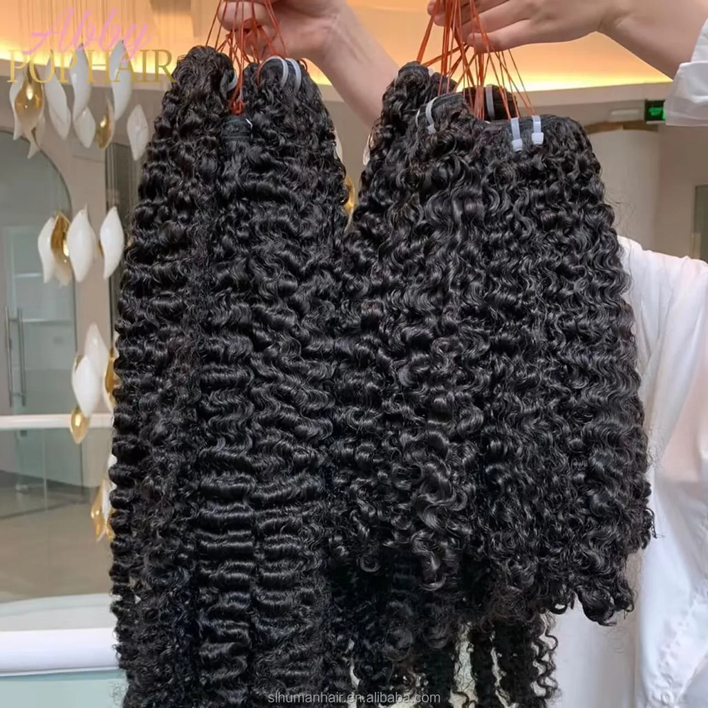 Raw Burmese Curly Hair Unprocessed Vietnamese Burmese Curly Human Hair Extension Virgin Curly Hair