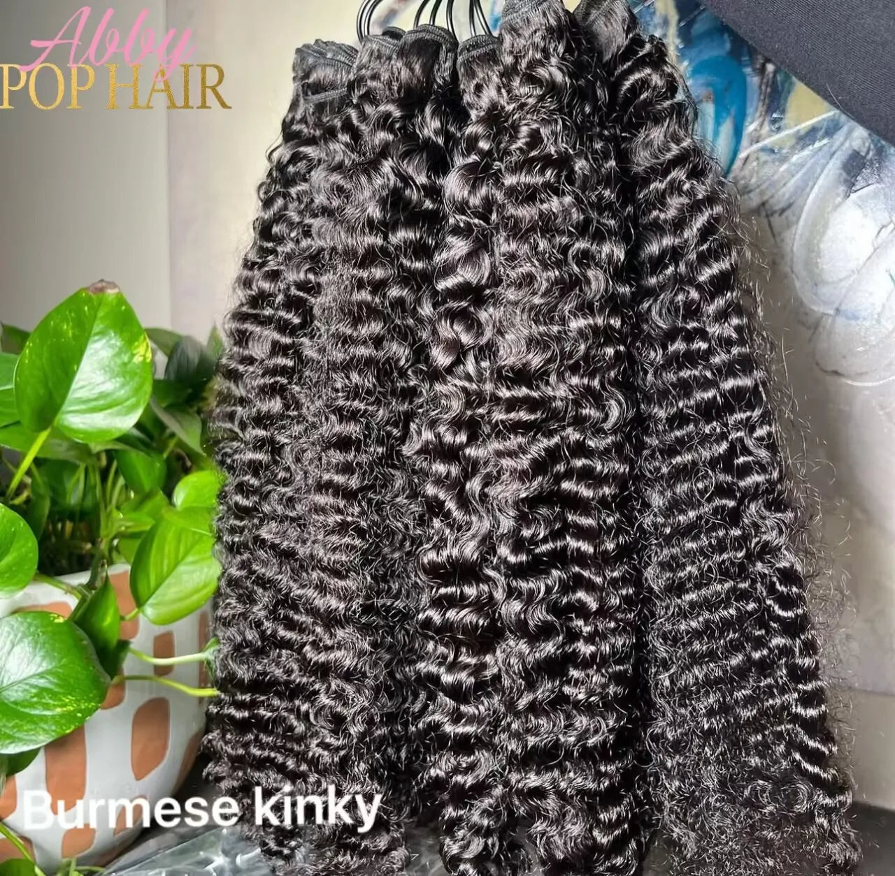 Raw Burmese Curly Hair Unprocessed Vietnamese Burmese Curly Human Hair Extension Virgin Curly Hair